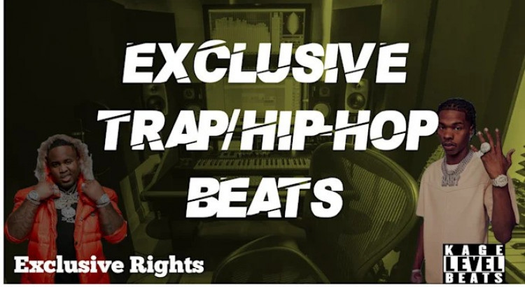 I will make you a professional trap or hiphop beat for exclusive use