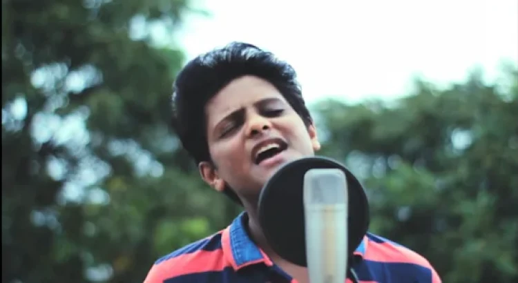 I will be your hindi and punjabi song singer