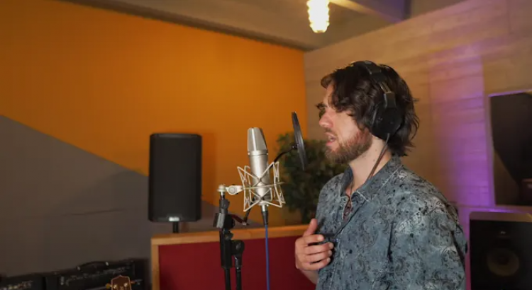 I will be your pro singer, songwriter and music producer