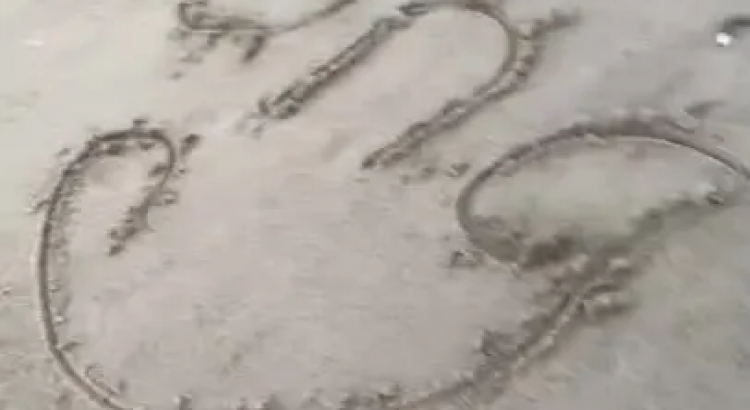 I will create ugc content for tiktok and reels in french or english