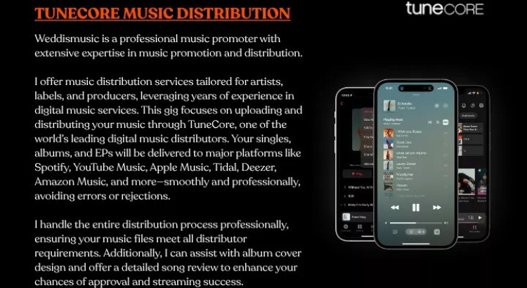 I will I will upload songs, promote and distribute your music to digital streaming
