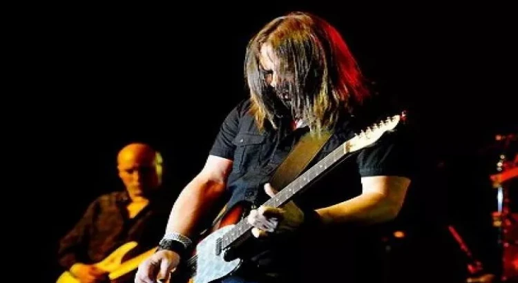 I will Guitars of all kinds to fit your project